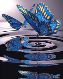 "blue butterflies"
