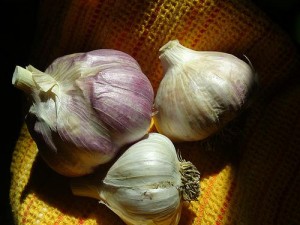 "Eat Well, Feel Well : Foods For Great Summer Nutrition Garlic"