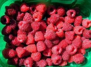 "Eat Well, Feel Well : Foods For Great Summer Nutrition raspberries"