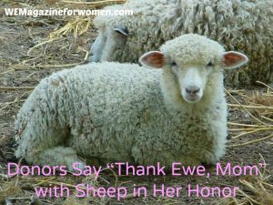 "Donors Say “Thank Ewe, Mom” with Sheep in Her Honor "