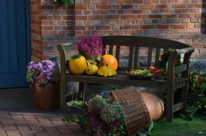  8 Tips to Create a Warm, Inviting and Healthy Home This Thanksgiving